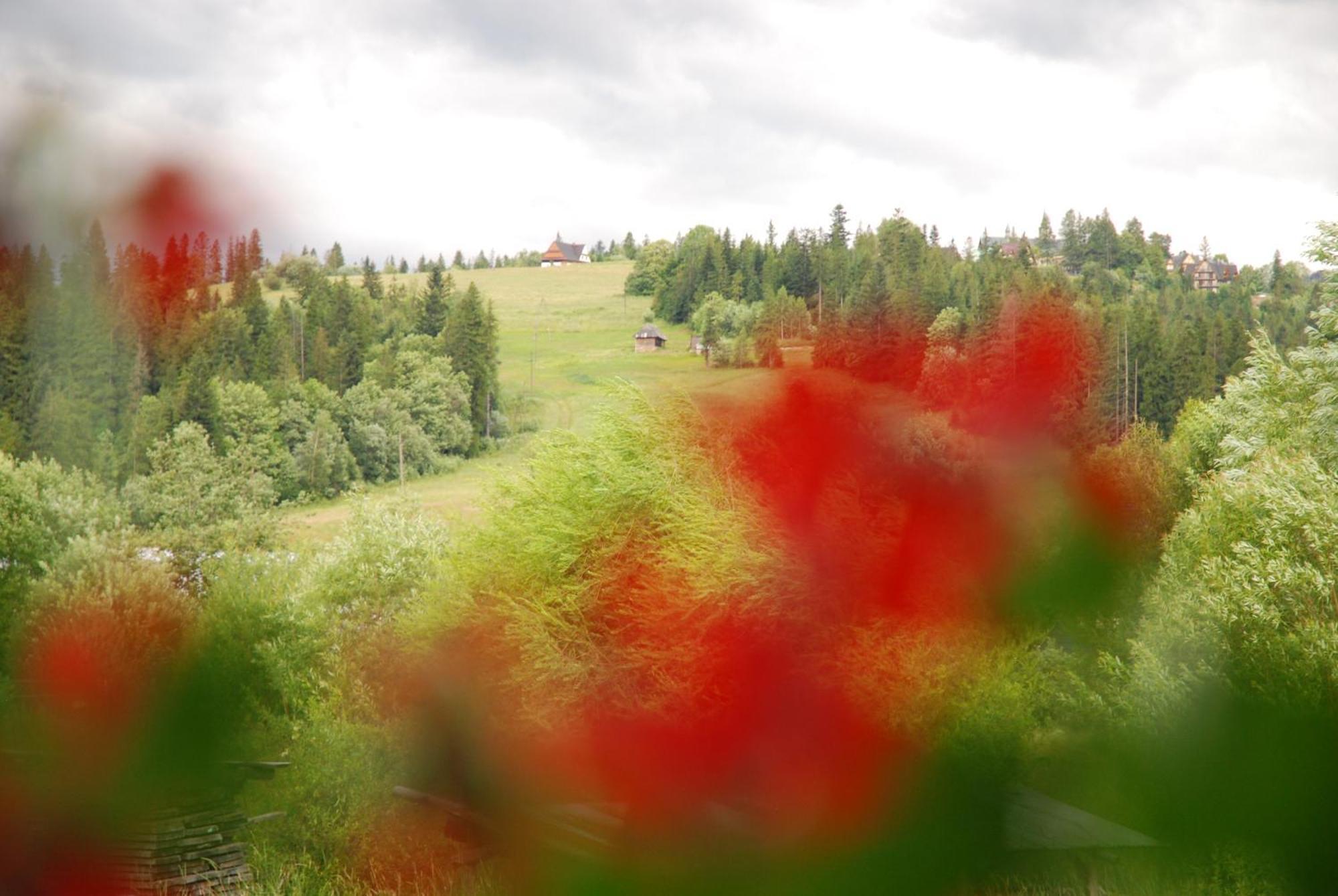 Villa Czarna Turnia Zakopane Zewnętrze zdjęcie