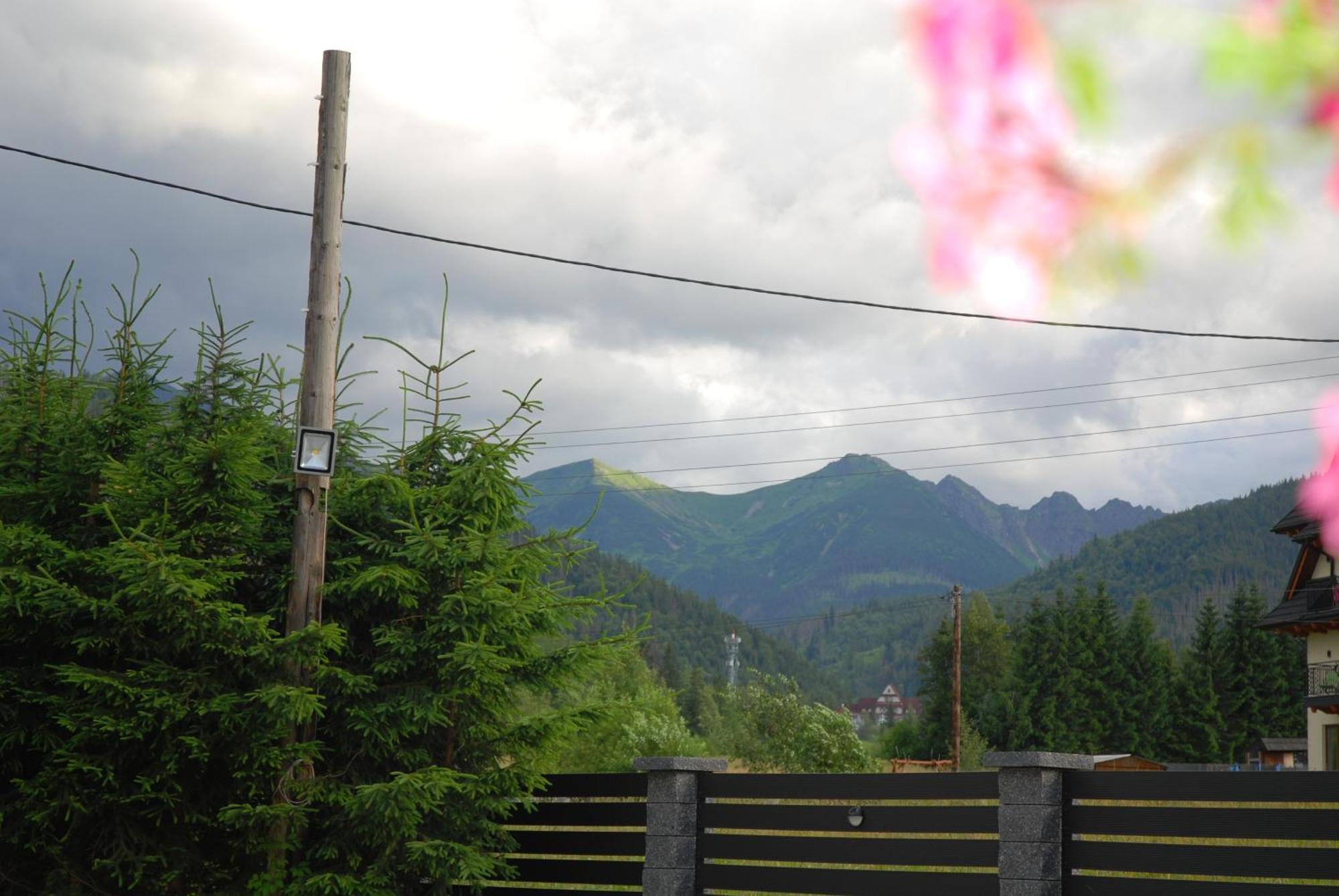 Villa Czarna Turnia Zakopane Zewnętrze zdjęcie